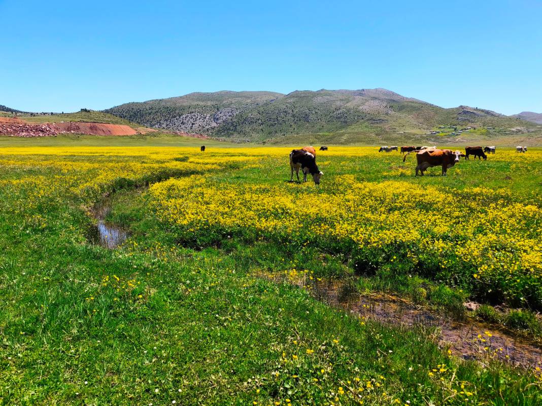 Konya’nın cennet köşesi baharı böyle karşıladı 12